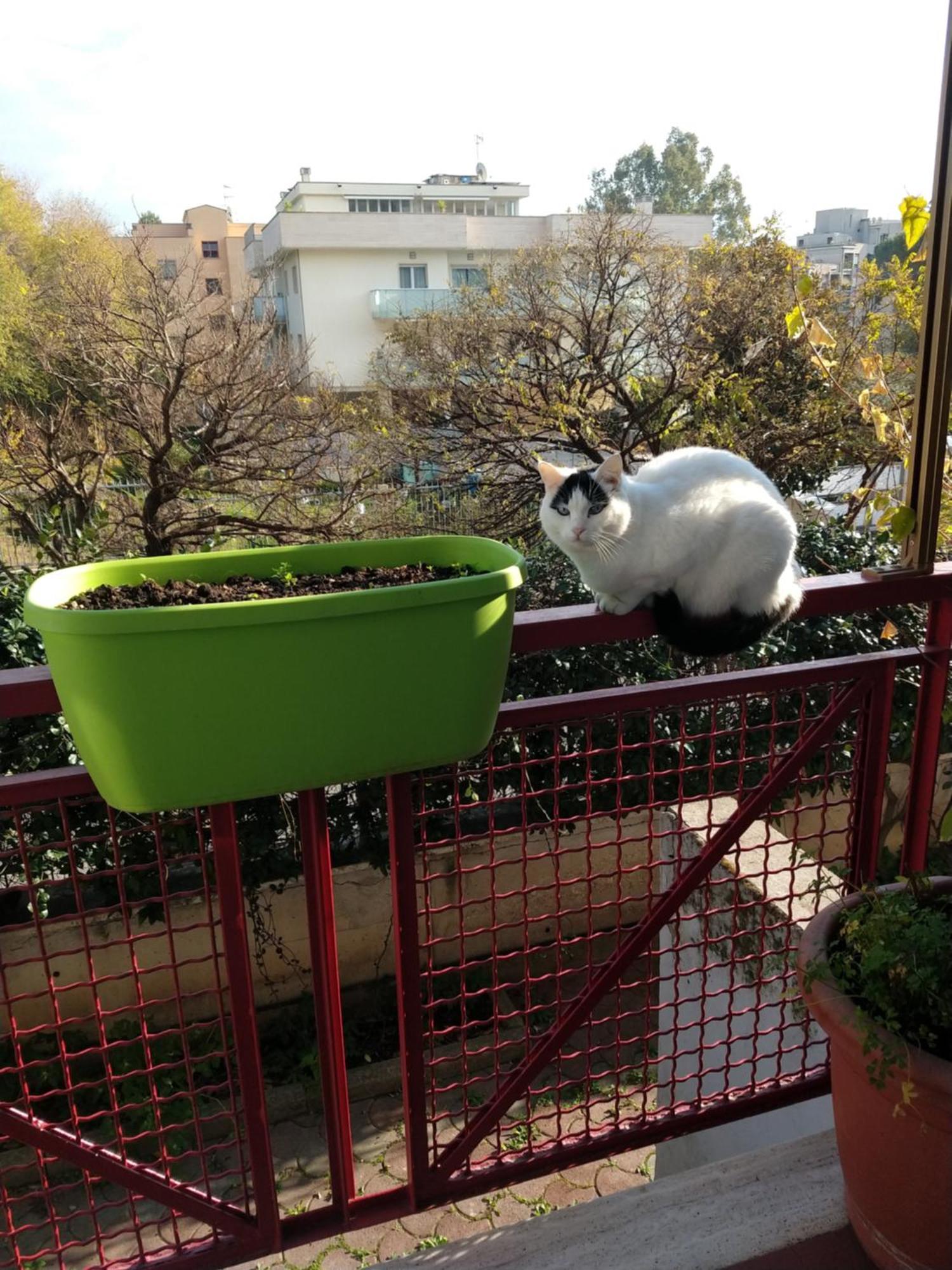 Intero Con Giardino E Parcheggio Appartement Rome